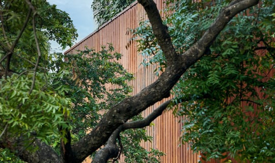 Front view