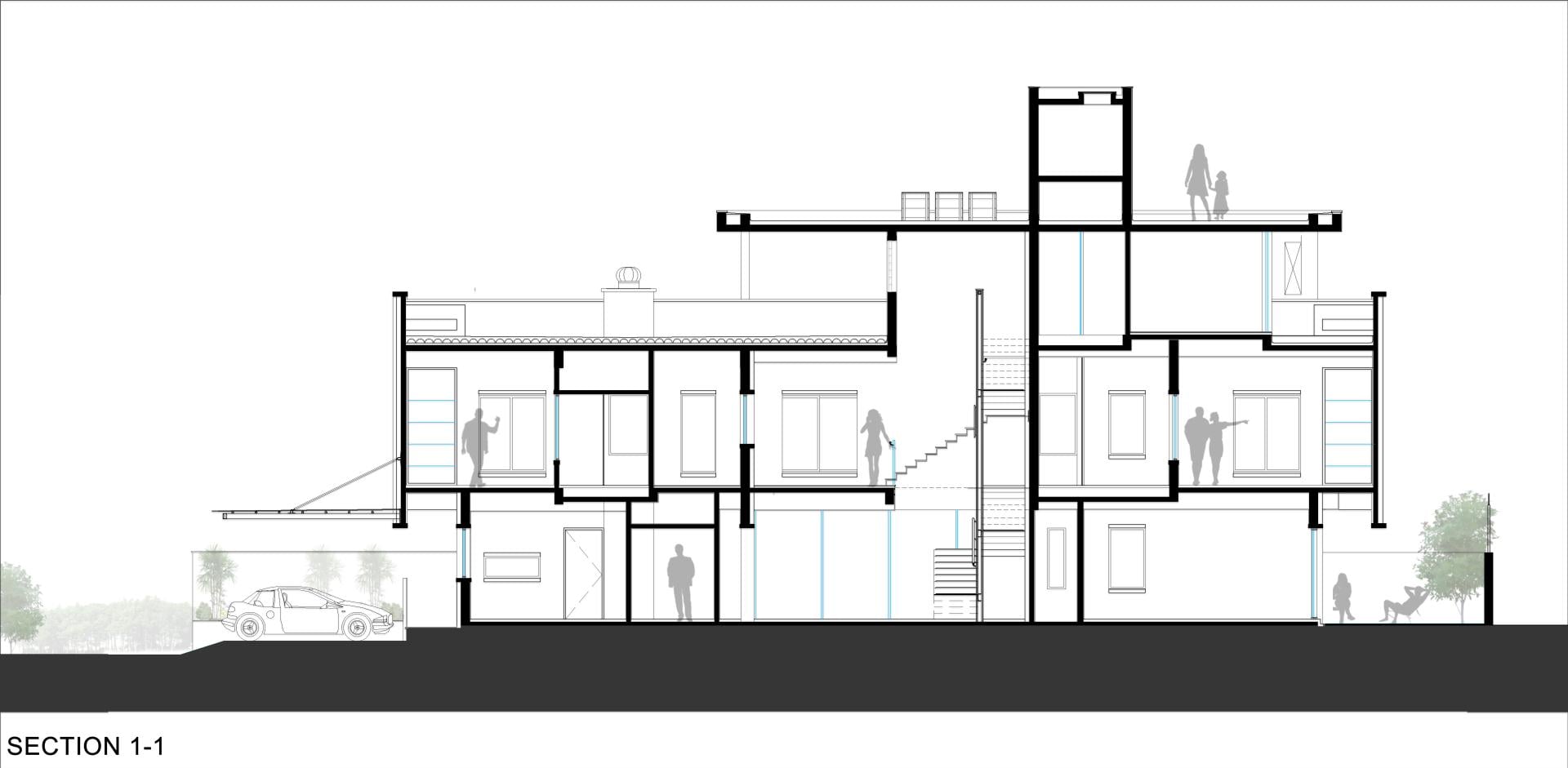 Longitudinal section