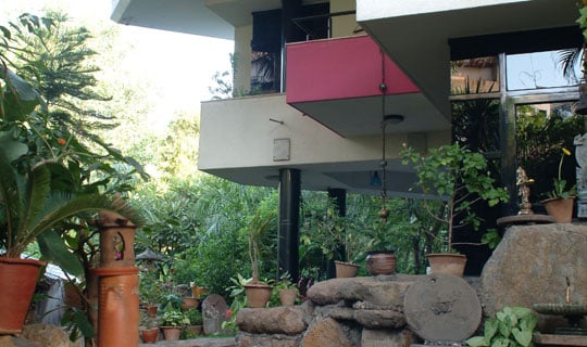Earthy Outdoors