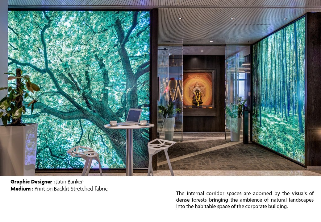 Backlit forest hallway, Nyati Unitree