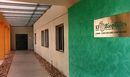 Entrance passage