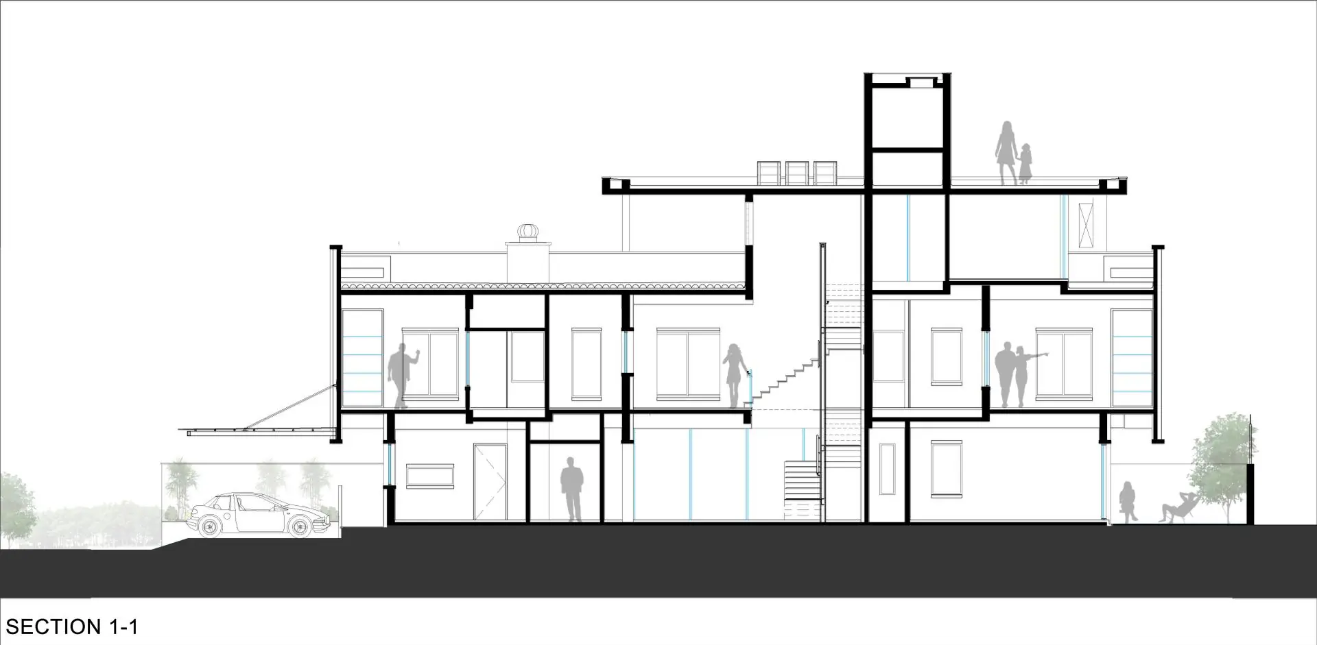 Longitudinal section